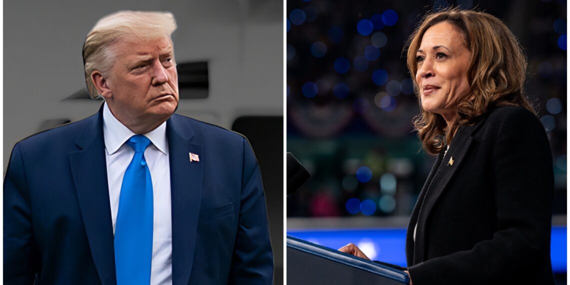 Ameryka wybiera! Co obiecuje Donald Trump, a co Kamala Harris? 1 Ameryka wybiera! Co obiecuje Donald Trump, a co Kamala Harris?