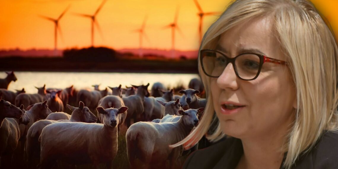 Hennig-Kloska chce 25 proc. Polski pod wiatraki. Branża przynosi w Europie gigantyczne straty