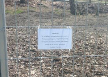 Obywatel kontra bezduszne instytucje. W tle bezczeszczenie zwłok i brak nadzoru na zielonogórskim cmentarzu