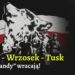 Bierut - Wrzosek - Tusk. „Leśne bandy”