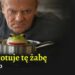 Tusk gotuje tę żabę za szybko [PREMIERA]