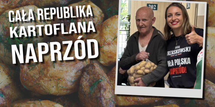 Cała kartoflana republika naprzód! 4 Cała kartoflana republika naprzód!